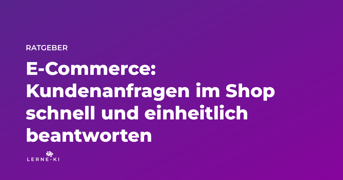 E-Commerce: Kundenanfragen im Shop schnell und einheitlich beantworten